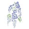 Small Wisteria Wisp Wall Stencil | 2412 by Designer Stencils | Floral Stencils | Reusable Art Craft Stencils for Painting on Walls, Canvas, Wood | Reusable Plastic Paint Stencil for Home Makeover | Easy to Use & Clean Art Stencil